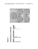 Compositions for Improving the Health and Appearance of Skin diagram and image