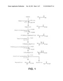 MICROORGANISMS FOR THE PRODUCTION OF ADIPIC ACID AND OTHER COMPOUNDS diagram and image