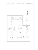 MICROORGANISMS FOR THE PRODUCTION OF ADIPIC ACID AND OTHER COMPOUNDS diagram and image