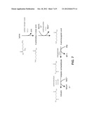 MICROORGANISMS FOR THE PRODUCTION OF ADIPIC ACID AND OTHER COMPOUNDS diagram and image