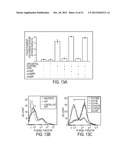 COMPOUNDS AND METHODS FOR INHIBITING THE METASTASIS OF CANCER CELLS diagram and image