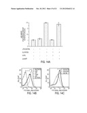 COMPOUNDS AND METHODS FOR INHIBITING THE METASTASIS OF CANCER CELLS diagram and image