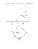 RESPIRATORY SYNCYTIAL VIRUS EXPRESSION VECTORS diagram and image