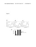 ASSAY FOR ORAI CALCIUM CHANNEL REGULATORS diagram and image