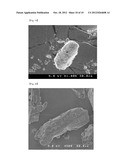 Method for Improving the Aqueous Solubility of Poorly-Soluble Substances diagram and image