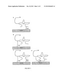 DIRECTED HETEROBIFUNCTIONAL LINKERS diagram and image