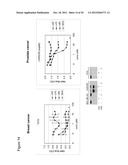 Method for Treating Androgen Receptor Positive Cancers diagram and image
