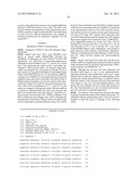 TREATMENT OF NUCLEAR RESPIRATORY FACTOR 1 (NRF1) RELATED DISEASES BY     INHIBITION OF NATURAL ANTISENSE TRANSCRIPT TO NRF1 diagram and image