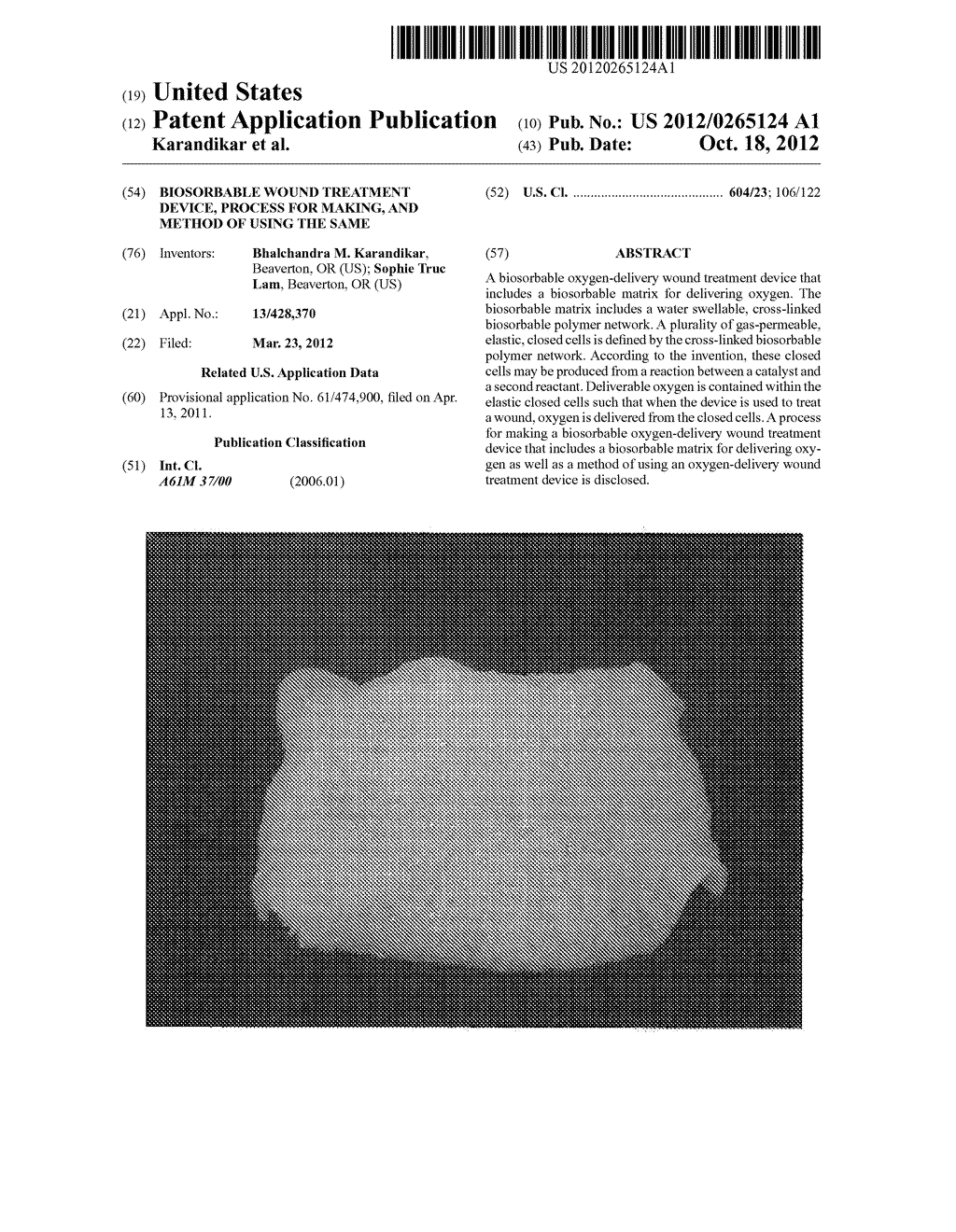 Biosorbable Wound Treatment Device, Process for Making, and Method of     Using the Same - diagram, schematic, and image 01