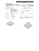 SOLUBLE MICRONEEDLE diagram and image