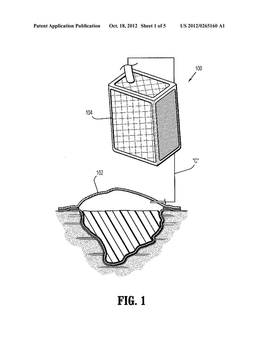 Canister For Wound Therapy And Related Methods Therefor - diagram, schematic, and image 02