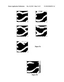 UPDATING GEOLOGICAL FACIES MODELS USING THE ENSEMBLE KALMAN FILTER diagram and image