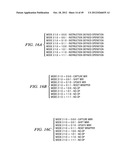 DOUBLE DATA RATE TEST INTERFACE AND ARCHITECTURE diagram and image