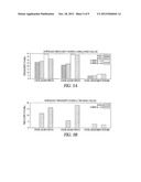 NETWORK-CODING-BASED DISTRIBUTED FILE SYSTEM diagram and image