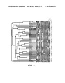 METHODS AND COMPOSITIONS RELATING TO ZPA POLYPEPTIDES diagram and image