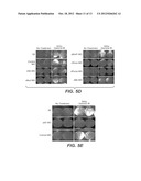 METHODS AND COMPOSITIONS RELATING TO ZPA POLYPEPTIDES diagram and image