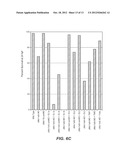 METHODS AND COMPOSITIONS RELATING TO ZPA POLYPEPTIDES diagram and image