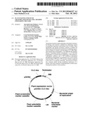 Plants Having Enhanced Yield-Related Traits and a Method for Making the     Same diagram and image