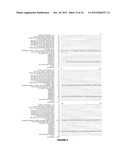 Plants Having Enhanced Yield-Related Traits and a Method for Making the     Same diagram and image