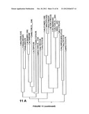 Plants Having Enhanced Yield-Related Traits and a Method for Making the     Same diagram and image