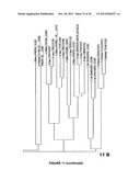 Plants Having Enhanced Yield-Related Traits and a Method for Making the     Same diagram and image