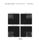 DIFFRACTIVE OPTIC diagram and image