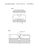 Microchip and Method of Manufacturing the Same diagram and image