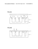 Microchip and Method of Manufacturing the Same diagram and image