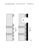 Functional Capping diagram and image