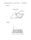 LIQUID CRYSTAL OPTICAL DEVICE AND ITS PRODUCTION PROCESS diagram and image