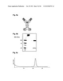 COMPLEX OF BI-SPECIFIC ANTIBODY AND DIGOXIGENIN CONJUGATED TO A     THERAPEUTIC OR DIAGNOSTIC AGENT diagram and image