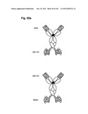 COMPLEX OF BI-SPECIFIC ANTIBODY AND DIGOXIGENIN CONJUGATED TO A     THERAPEUTIC OR DIAGNOSTIC AGENT diagram and image