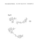 COMPLEX OF BI-SPECIFIC ANTIBODY AND DIGOXIGENIN CONJUGATED TO A     THERAPEUTIC OR DIAGNOSTIC AGENT diagram and image