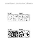 COMPLEX OF BI-SPECIFIC ANTIBODY AND DIGOXIGENIN CONJUGATED TO A     THERAPEUTIC OR DIAGNOSTIC AGENT diagram and image