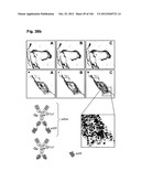 COMPLEX OF BI-SPECIFIC ANTIBODY AND DIGOXIGENIN CONJUGATED TO A     THERAPEUTIC OR DIAGNOSTIC AGENT diagram and image