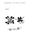 COMPLEX OF BI-SPECIFIC ANTIBODY AND DIGOXIGENIN CONJUGATED TO A     THERAPEUTIC OR DIAGNOSTIC AGENT diagram and image