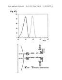 COMPLEX OF BI-SPECIFIC ANTIBODY AND DIGOXIGENIN CONJUGATED TO A     THERAPEUTIC OR DIAGNOSTIC AGENT diagram and image