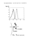 COMPLEX OF BI-SPECIFIC ANTIBODY AND DIGOXIGENIN CONJUGATED TO A     THERAPEUTIC OR DIAGNOSTIC AGENT diagram and image