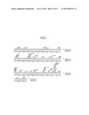 POLYPEPTIDES THAT HOME TO ATHEROSCLEROTIC PLAQUE diagram and image