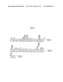 POLYPEPTIDES THAT HOME TO ATHEROSCLEROTIC PLAQUE diagram and image