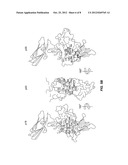 CYTOKINE COMPOSITIONS AND METHODS OF USE THEREOF diagram and image