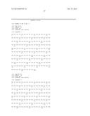 CYTOKINE COMPOSITIONS AND METHODS OF USE THEREOF diagram and image