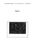 Adipose Stromal Stem Cells For Tissue And Vascular Modification diagram and image