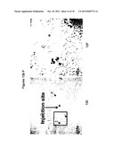 Adipose Stromal Stem Cells For Tissue And Vascular Modification diagram and image