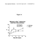 Adipose Stromal Stem Cells For Tissue And Vascular Modification diagram and image