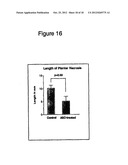 Adipose Stromal Stem Cells For Tissue And Vascular Modification diagram and image