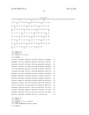 METHODS OF GENERATING NEURAL STEM CELLS diagram and image