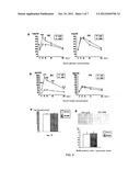 Method for Enhancing Pancreatic Beta Cell Proliferation, Increasing Serum     Insulin Concentration, Decreasing Blood Glucose Concentration And     Treating And/Or Preventing Diabetes diagram and image