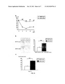 Method for Enhancing Pancreatic Beta Cell Proliferation, Increasing Serum     Insulin Concentration, Decreasing Blood Glucose Concentration And     Treating And/Or Preventing Diabetes diagram and image