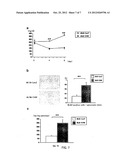 Method for Enhancing Pancreatic Beta Cell Proliferation, Increasing Serum     Insulin Concentration, Decreasing Blood Glucose Concentration And     Treating And/Or Preventing Diabetes diagram and image